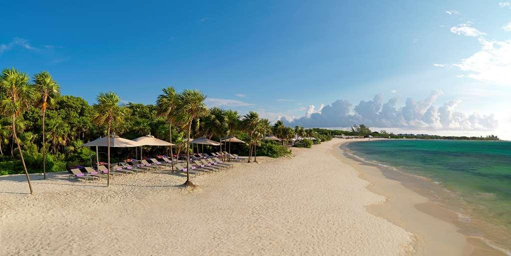 The Reserve Paradisus Playa Del Carmen (Adults Only) Nature photo